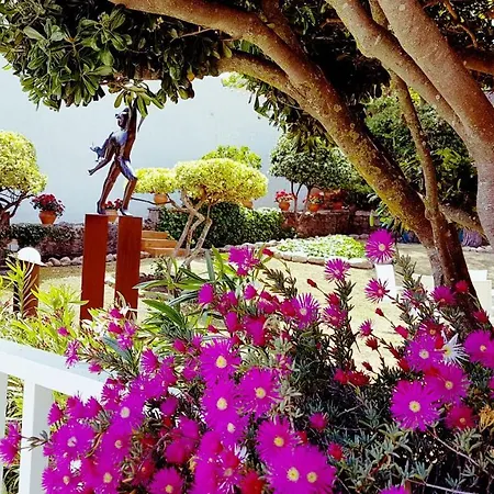 Casa Con Jardin A 45 Metros De La Playa. Es. וילה פלאמוס